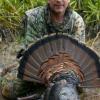 2009 Turkey Season