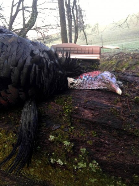 Clint Sullivan's One Sider