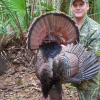 2018 Turkey Season