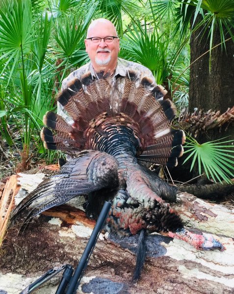 laird Hamberlin fla 2