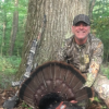 2019 Turkey Season 