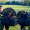 Al Rogers and Rooster Rogers 